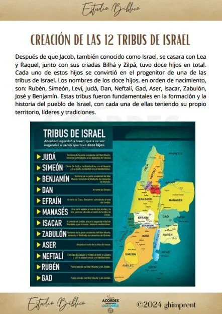 Diseno-sin-titulo-8